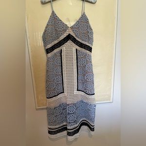 Endless Rose lace dress